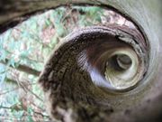 ネイチャーガイドオフィスまなつの写真3