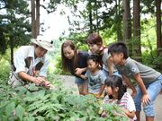 トヨタ白川郷自然學校の写真3