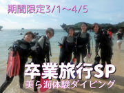 ダイブドラゴンの写真3
