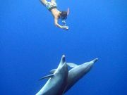 素潜りの学校 小笠原父島の写真2