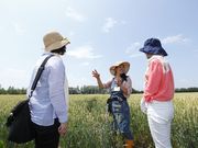 いただきますカンパニーの写真4