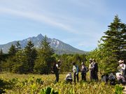 利尻はなガイドクラブの写真3