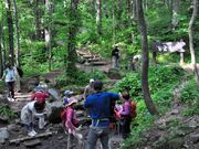 利尻はなガイドクラブの写真4