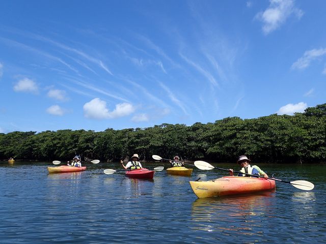穏やかな川をカヤックで進もう_西表島モンスーン