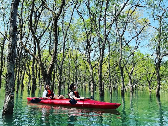 YAMAGATA EXPERIENCE(ヤマガタ エクスペリエンス)