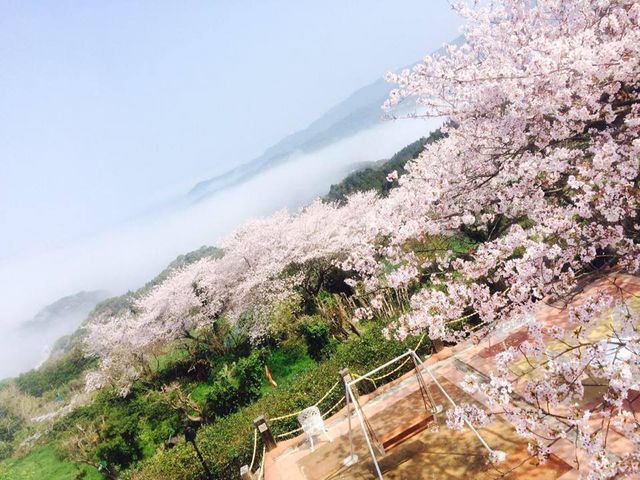 湯の児スペイン村 福田農場