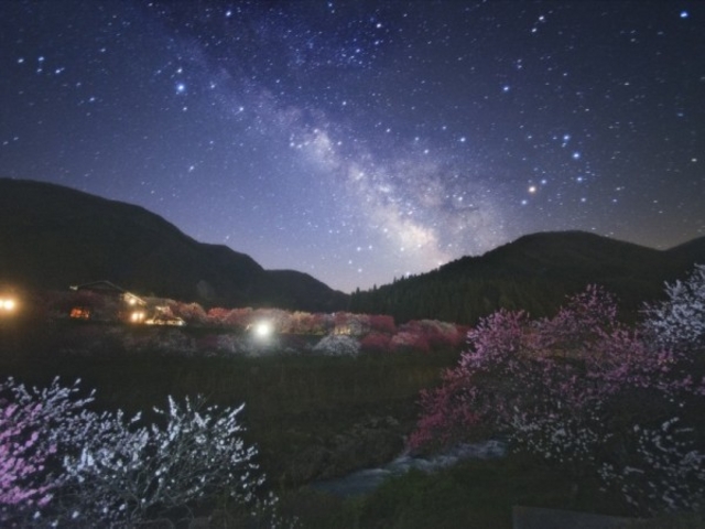 天の川と花桃_野熊の庄月川