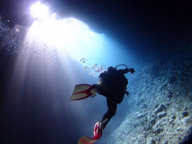 写真には自信があります!!_Diving Shop Lei(ダイビングショップレイ)