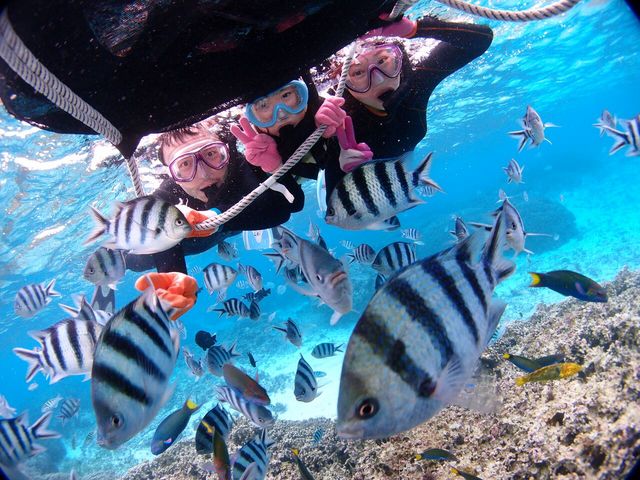 浮き具につかまれるから、お子様も安心!!_Diving Shop Lei(ダイビングショップレイ)