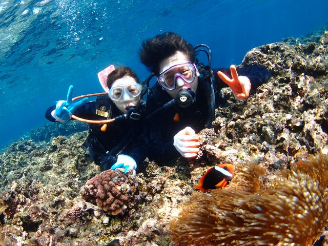 ダイビングではクマノミとの記念撮影も(≧▽≦)
_Diving Shop Lei(ダイビングショップレイ)