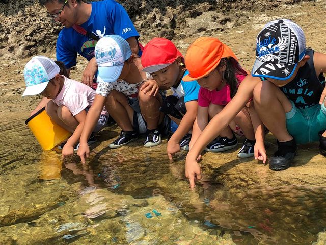 泳がなくてもたくさんの生き物と触れ合うことが出来ます!
《うみあっちゃー(海散歩)》_ゆしゆし