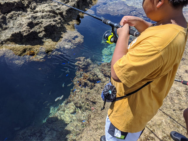熱帯魚がたくさん泳ぐタイドプールでの魚釣り_ゆしゆし