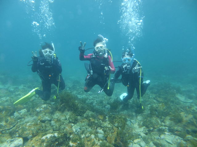 お友達同士やお一人様での参加もOK!
青い海に飛び込みましょーー!!_DivingHouse 3PIECE DIVERS