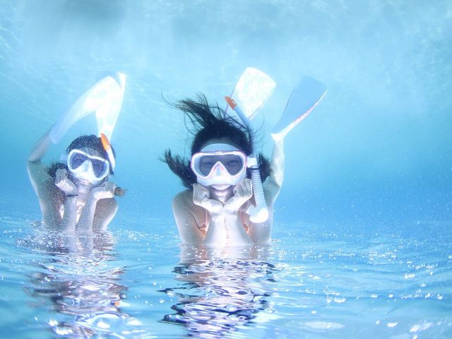休憩中はスノーケリングで遊びましょ〜_DivingHouse 3PIECE DIVERS