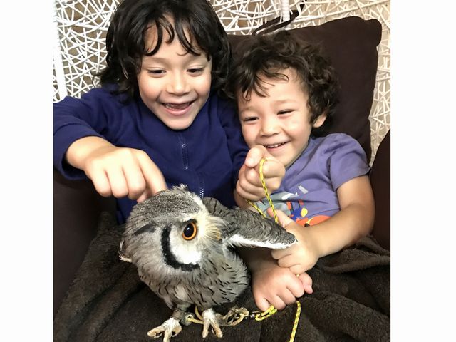 owlcafeふくろう茶房新宿店