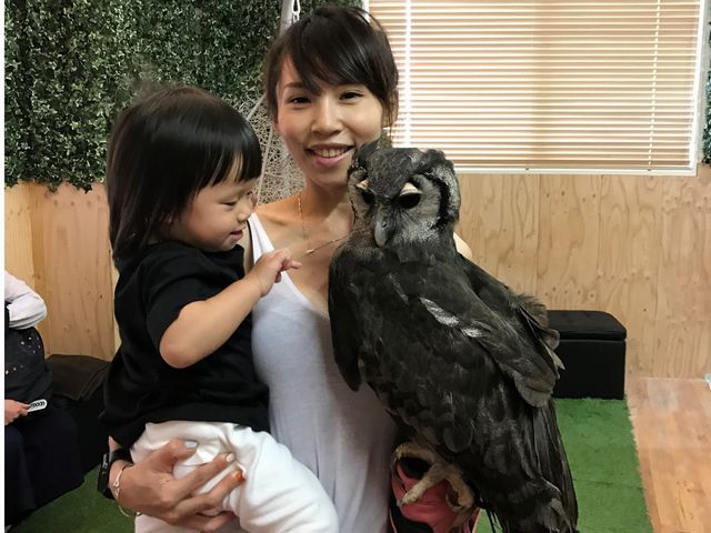 owlcafeふくろう茶房新宿店