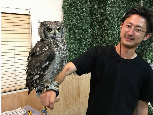 owlcafeふくろう茶房新宿店