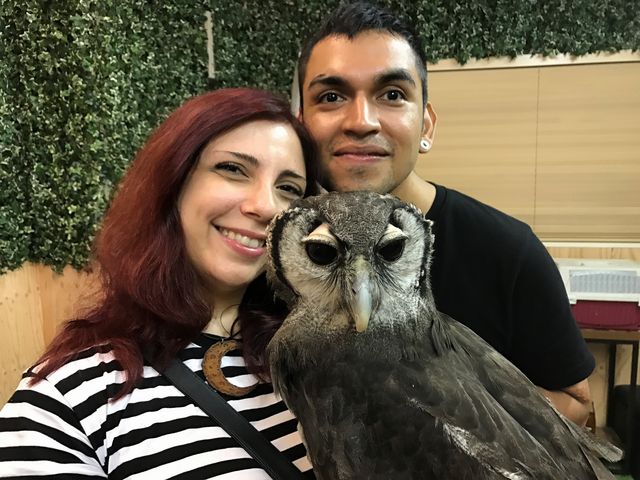 owlcafeふくろう茶房新宿店