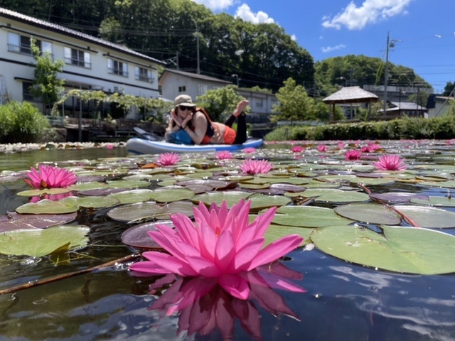 SUPなら水面に咲く睡蓮のそばまで行けちゃいます♪(睡蓮の開花時期のみ)_シロウマアウトドアカンパニー