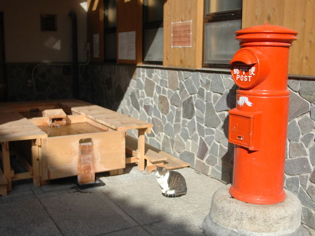 田沢温泉 ますや旅館