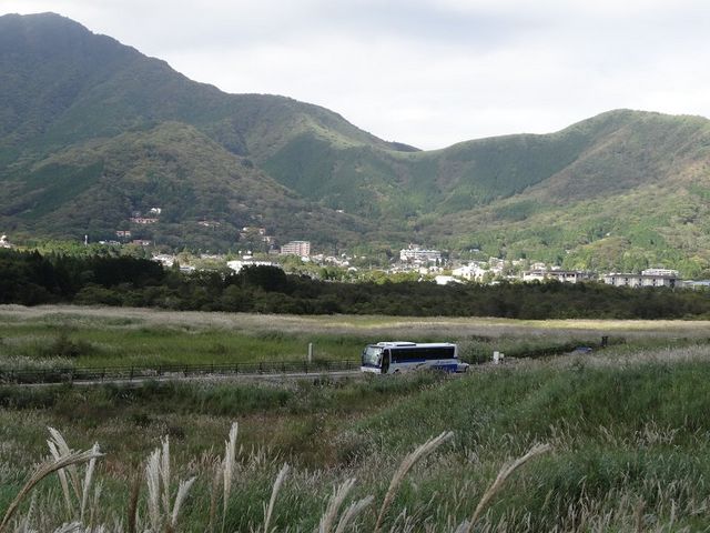 高速バス東京線(東京-御殿場・箱根)