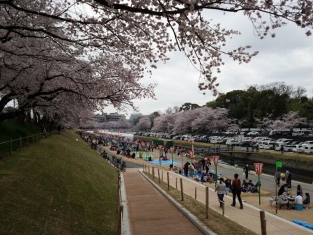 出張バーベキュー満福岡山