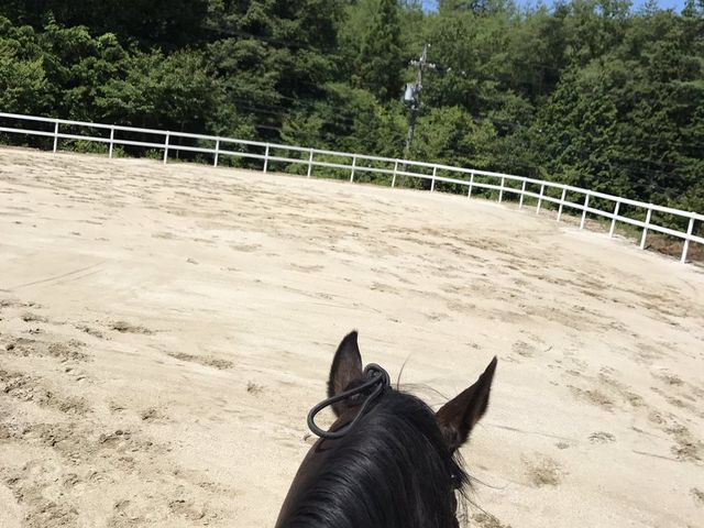 この道30年のベテランインストラクターが馬上から見える景色を楽しませてくれますよ!_乗馬クラブエクイヴィラ