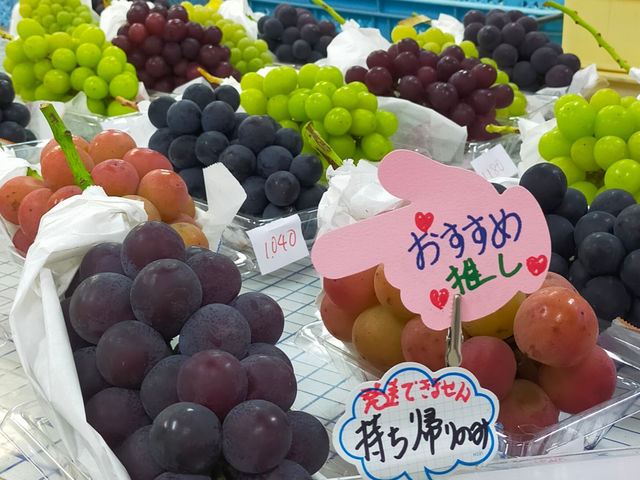 寿々園グレープガーデン