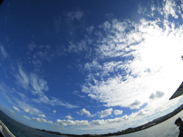 TakeDive テイクダイブ