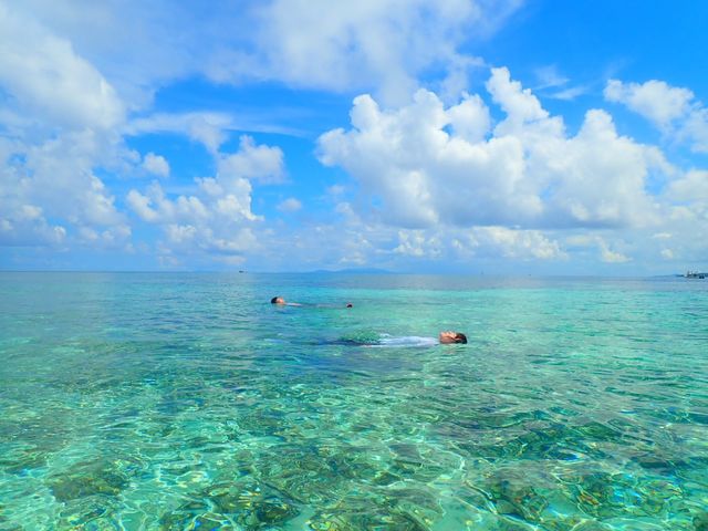 世界最高峰の透明度を誇る海_西表島 ADVENTURE PiPi