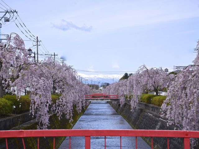 倉津川