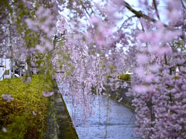 倉津川
