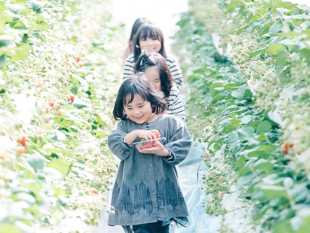 お子さんにも手の届きやすい多段式のベンチです★_なかはた農園