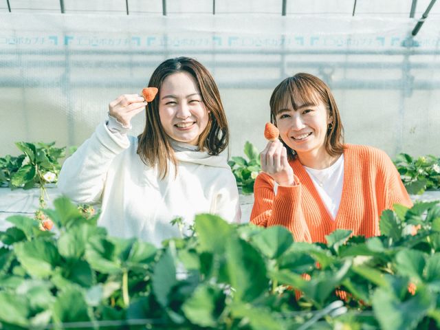 おいしいイチゴをぱくり!_なかはた農園