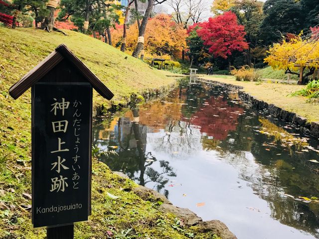 神田上水跡(小石川後楽園)