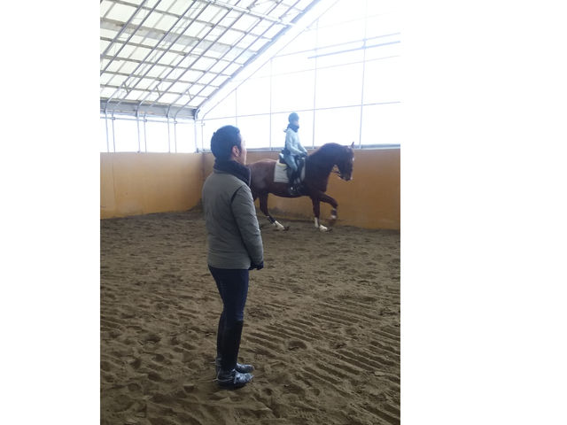 インドアのレッスン_ほくせい乗馬クラブ