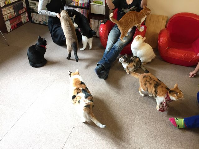 ミューキーズ