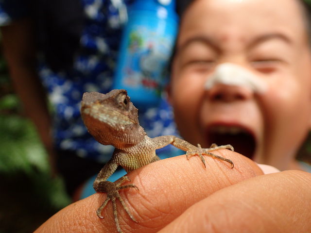 子供の好奇心をくすぐる自然生き物観察_バジャウトリップ西表フィールドサービス