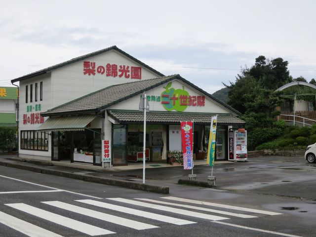 直売所_梨の錦光園
