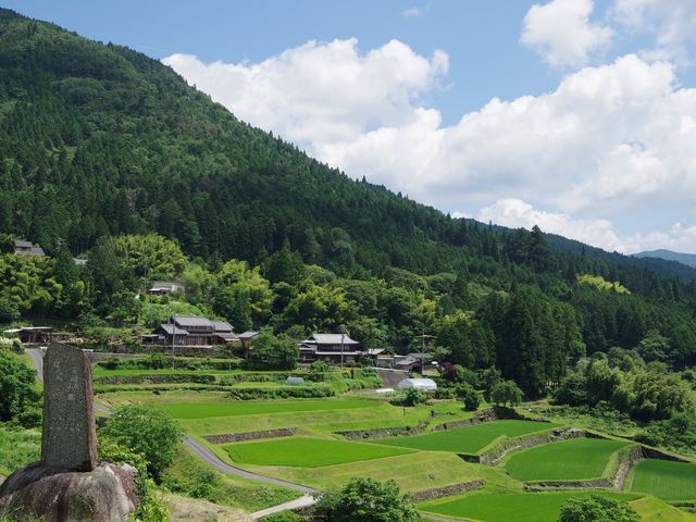 坂折棚田
