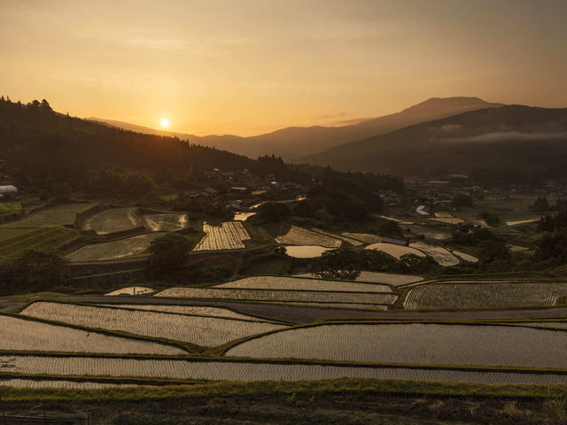 坂折棚田