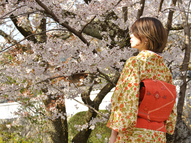 季節に合わせた上質で上品なコーディネートを御提案します。_UME SAKURA 京都寺町レンタル着物