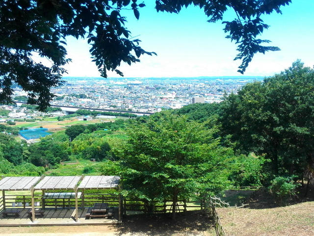 いせはら塔の山緑地公園