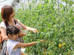 デリシャスファームの写真1