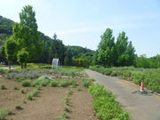 みかもハーブ園の写真1