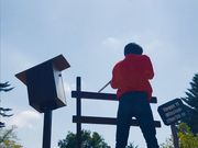 ソト遊びの森の写真3