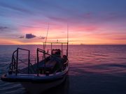 西表島モンスーンの写真4