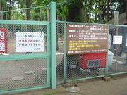 遊びの森(やまと冒険の森フィールドアスレチック)の写真1