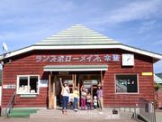 やぶはら高原こだまの森の写真2