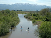 Cakau Surfの写真2